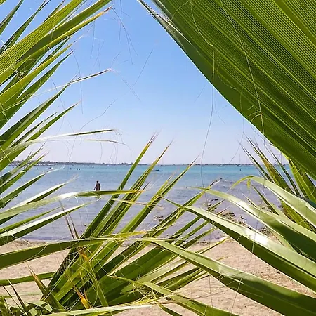 Spiaggia E Servizi A Piedi M509 Апартаменты *