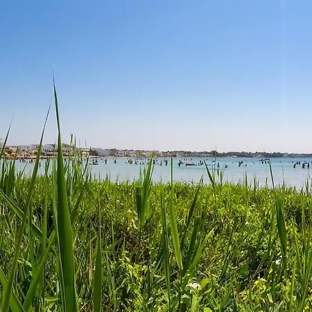 Апартаменты Spiaggia E Servizi A Piedi M509 *
